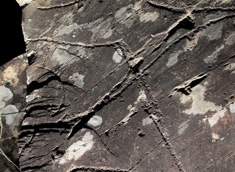Gravuras rupestres de sampaio milhao  medium  1 480 350