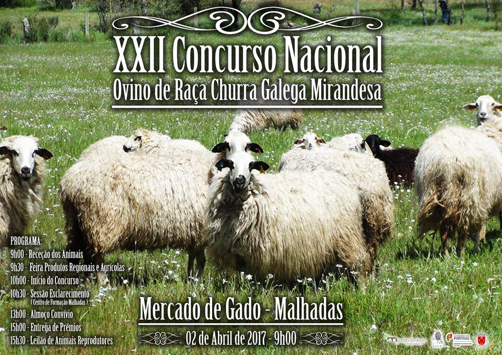 XXII Concurso Nacional Ovino de Raça Churra Galega Mirandesa