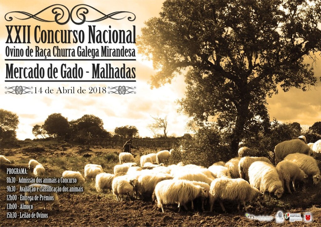 XXII Concurso Nacional Ovino de raça Churra Galega Mirandesa