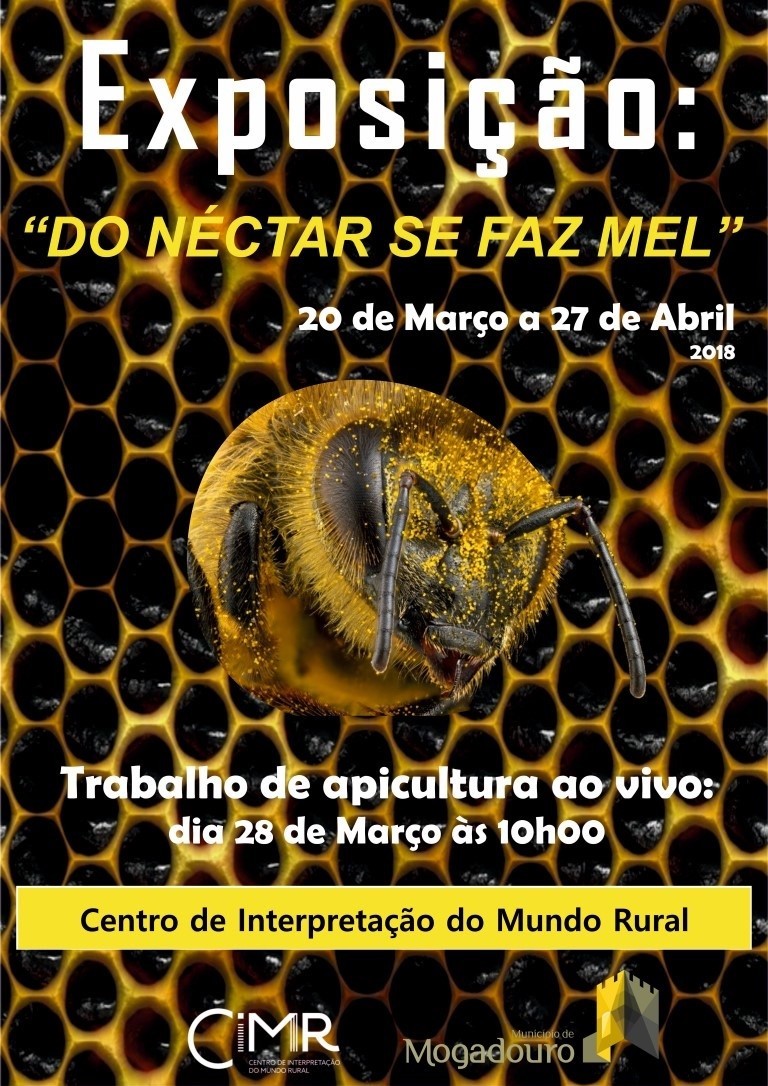 Exposição "Do néctar se faz o mel"