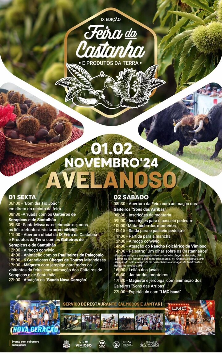 IX Feira da Castanha e Produtos da Terra de Avelanoso