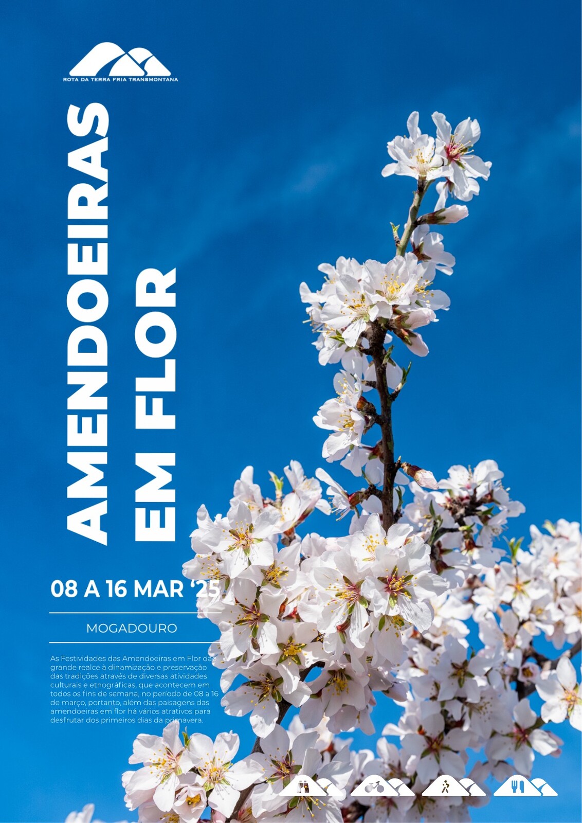 Festividades das Amendoeiras em Flor 